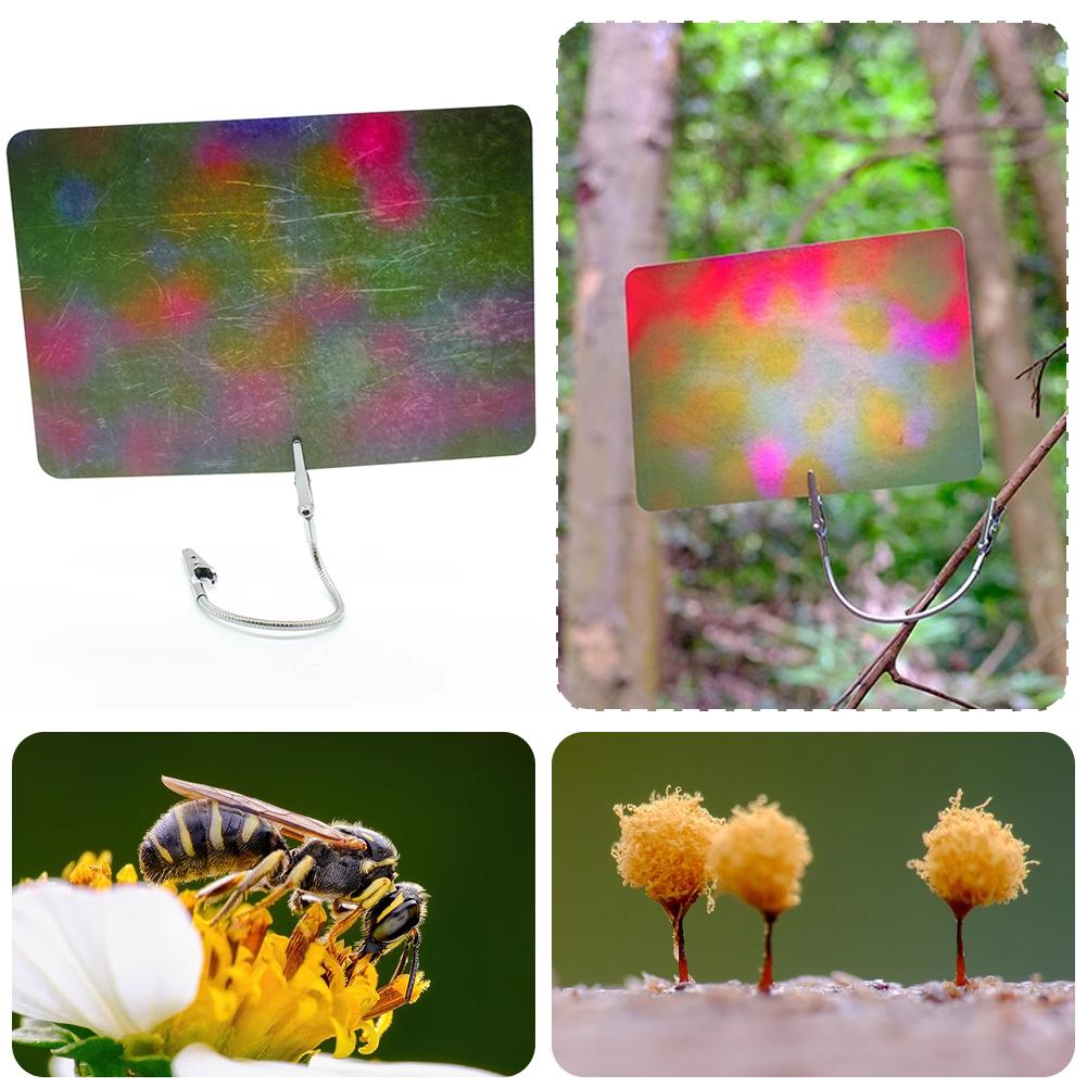 Macro Photography Background C - Photography Lighting Material avis et prix