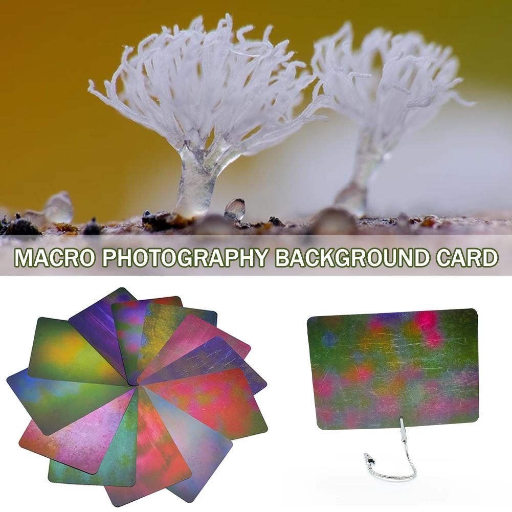 Macro Photography Background C - Photography Lighting Material avis et prix