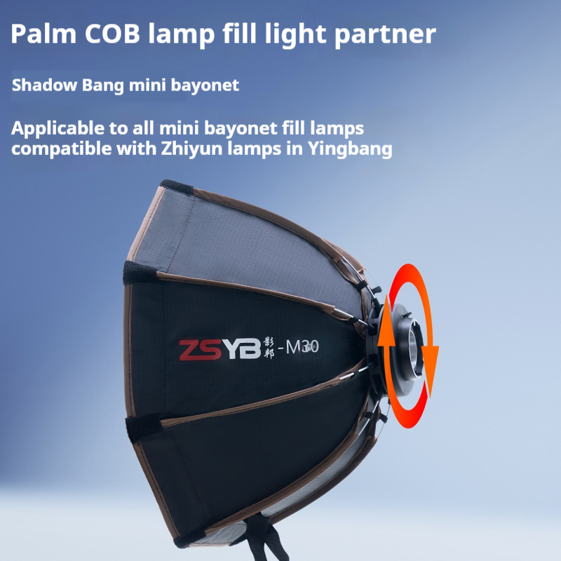 30cm Octagon Umbrella Softbox  - Photography Lighting Grid avis et prix
